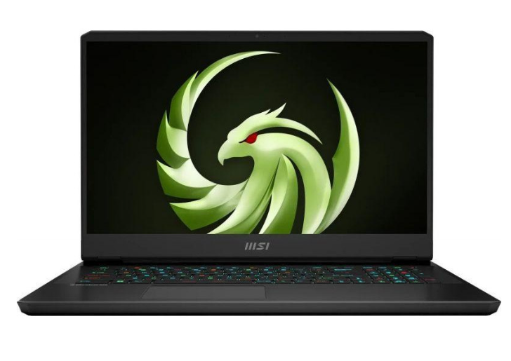 Ноутбук MSI Alpha 17 C7VG  C7VG-035XPL фото
